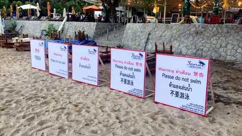 เจ้าอาวาส โต้ข่าวให้อาหารฉลาม เพื่อเรียกคนเข้าวัดทำบุญ