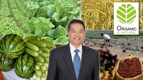 บูม! เกษตรอินทรีย์ คิดใหญ่ทำน้อยได้มาก