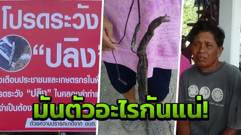 อาการทรุด! ลุง 65 ถูกปลิงยักษ์กัดอัณฑะ อาเจียนเป็นเลือด