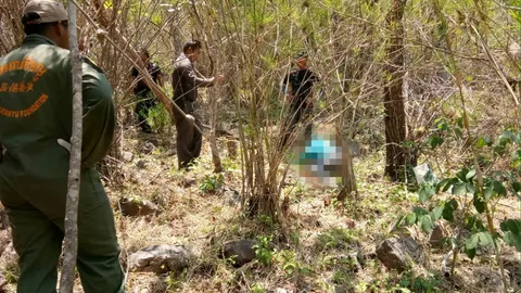 อย่าไปลำพังจะเป็นศพ! 'เขาสะแกกรอง' ดินแดนสุดอาถรรพ์ ทำคนตายนับไม่ถ้วน