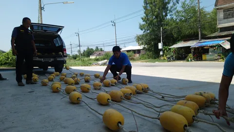 เตรียมนำทุ่นป้องกันฉลามวางหาดทรายน้อยเป็นที่แรกในไทย