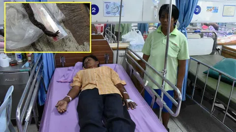 เมียกลัวผัวตาย! หามลุง เหยื่อปลิงยักษ์กัดอัณฑะ ส่งรพ.อีกรอบ   