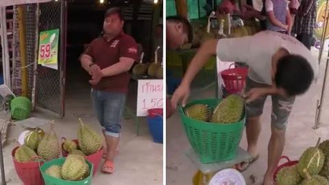 ทุเรียนยกเข่ง ชะนีไข่ขายโลละ 59 ลูกค้าแห่ซื้อไม่ขาดสาย