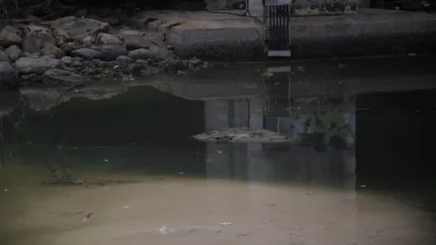 เสียชื่อชายหาดระดับโลก ทะเลป่าตองน้ำดำจริงๆ รู้แล้วสาเหตุมาจากอะไร  