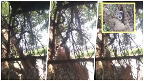 สลด สาวราชบุรีช้ำรัก ตั้งมือถือไลฟ์สด ผูกคอตายใต้ต้นไทร 