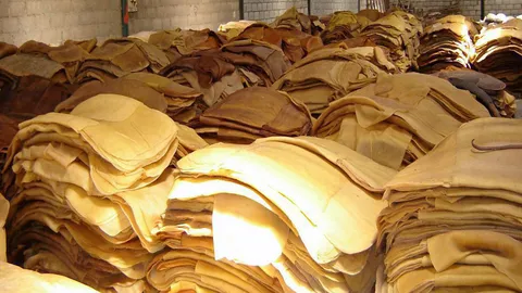 กยท.มิติใหม่ใช้ตลาดนำแก้ราคายาง เลิกแทรกแซงเน้นส่งออกยางแปรรูป