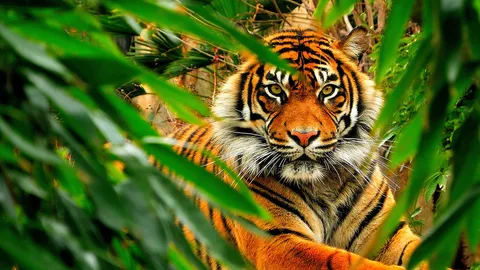 ทีไล่ของรัฐ ทางหนีของราษฎร์