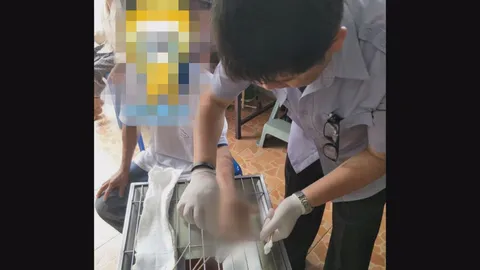 หนุ่มพะเยา ใช้โทรศัพท์ขณะชาร์จแบต ระเบิดตูม กระดูกแตก มือเละสยอง!