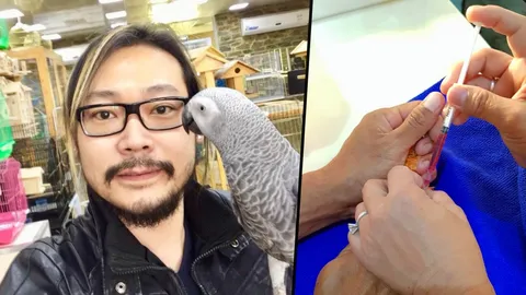 ถือวิสาสะ! ‘หมอวี’ ฉะคนตั้งตนเป็นหมอกระเป๋ารักษานกทั้งที่ไม่ใช่สัตวแพทย์ (คลิป)