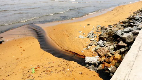 เละไม่เหลือ! หาดจอมเทียนน้ำเน่าทะลัก เหม็นหึ่ง นทท.เผ่นหนีกระเจิง