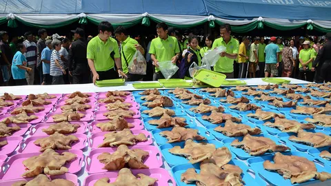 ส.ผู้เลี้ยงสุกร รวม6ภาค เซ่นไหว้หัวหมู ยื่นนายกฯ ต้านนำเข้า จากสหรัฐฯ (คลิป)