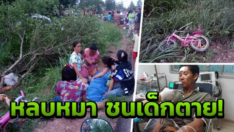 หลบหมา ชนเด็กตาย 2 ศพ! คนขับยอมรับ เพิ่งกลับจากดื่มสุรา