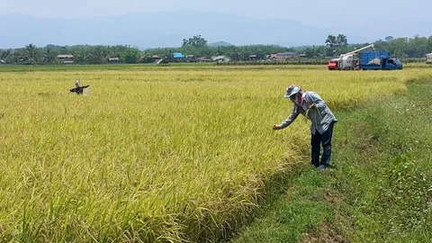 ก.เกษตรฯ ขอ ยูเอ็น-ธนาคารโลก เคลียร์ปมเอกชนแอบอ้างโกงเกษตรกร