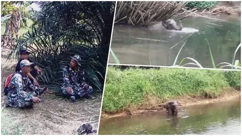 ช้างป่าหลงโขลง ลงเล่นน้ำ ชาวบ้านผวา วอน จนท.ผลักดันเข้าป่าลึก