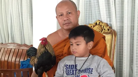 เจ้าคุณโต้ง ไก่แจ้วัดแสนรู้สุดเชื่อง ขวัญใจญาติโยมที่ศรีราชา