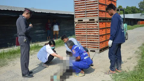 สลด! คนขับรถโฟล์คลิฟท์ สารภาพ มองไม่เห็น ชนคนงานจับไก่ ดับอนาถ 