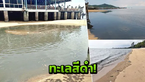 ฝนตกหนัก ทำสัตหีบ-บางเสร่ วิกฤติ หาดดำปี๋ น้ำทะเลเน่าเหม็น
