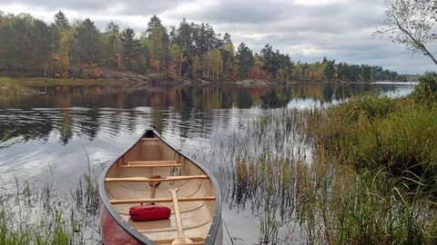 ค้นพบวงจรป้อนกลับในทะเลสาบน้ำจืด