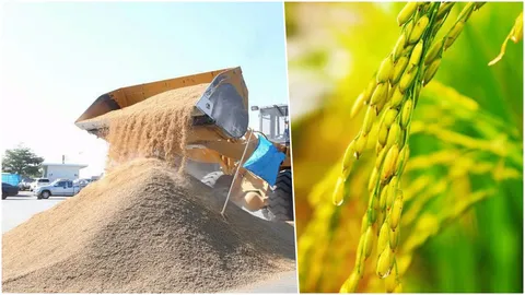 ควักเงินเพิ่ม!! ข้าวหอมมะลิแพงขึ้น ขยับถุงละเกือบ 30 บาท