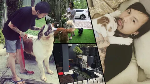 บ้านนักร้องก็สวยเว่อร์ ส่องที่อยู่สุดหรูหรา แน็ป เรโทรสเปกต์