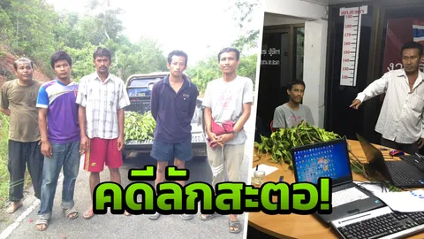 เห็นแล้วน้ำลายสอ 5 หนุ่มใต้จอดรถสอยสะตอ โดนจับลักทรัพย์