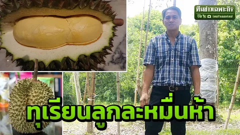 ทุเรียนลูกหมื่นห้า! เปิดใจเจ้าของสวน ยอดจองหลักสิบ อย่าปล่อยให้ตายแล้วเห็นค่า (คลิป)