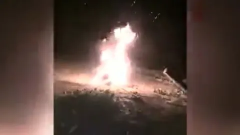 ช็อก! เด็กม.ต้นจีนทำร้ายลูกหมาสาหัส ก่อนจุดไฟเผาทั้งเป็น