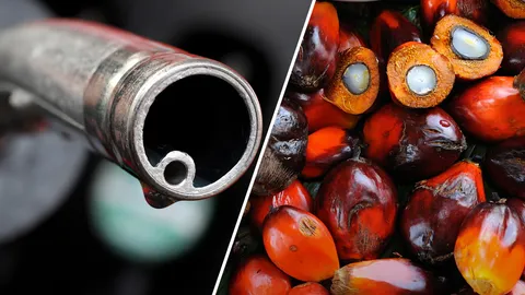 ถูกกว่าบี 7 ลิตรละ 3 บาท! พาณิชย์-พลังงานเคาะราคาดีเซลบี 20