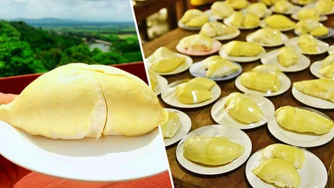 น้อมรับคำติ! สวนละไม ขอโทษทุเรียนไม่พอ หลัง ‘ลีน่า จัง’ โวยไม่มีให้กิน