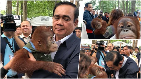 บิ๊กตู่ อารมณ์ดีหยอกล้อลิงชิมแปนซี ขอบคุณฝ่ายมั่นคงดูแลม็อบ