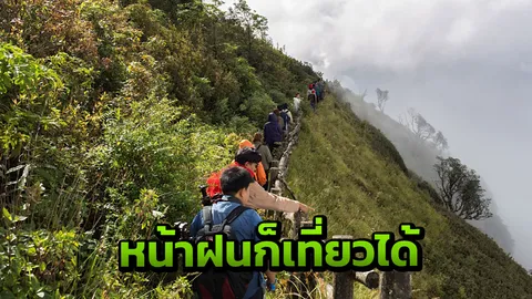 หน้าฝนใครว่าไม่สนุก! เจาะ 5 ที่เที่ยวป่าเขียว ชุ่มฉ่ำ สดชื่น