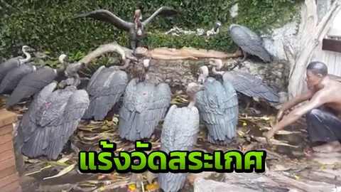 เปิดตำนาน 'แร้งวัดสระเกศ' กับโรคห่าในอดีต