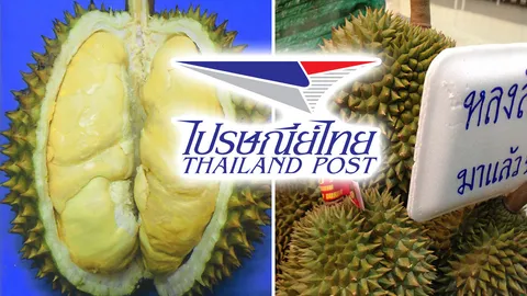 อ้าวเฮ้ย ไปรษณีย์ไทย รับพรีออเดอร์ทุเรียนหลงลับแล จัดส่งถึงหน้าบ้าน