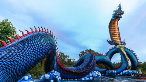 เตรียมบวงสรวง 'ปู่ศรีมุกดา' พญานาคองค์ใหญ่ วัดรอยพระพุทธบาทภูมโนรมย์ 