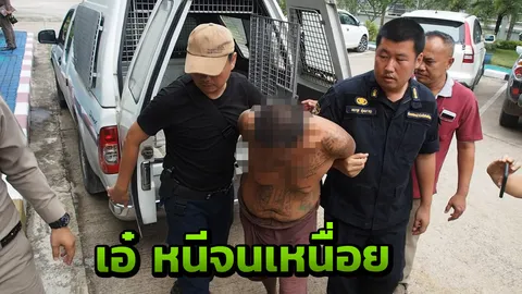 หนีจนเหนื่อย เอ๋ ควาย เปิดใจ ย้อนกลับทางเดิม เพื่อจะมอบตัวจนถูกรวบ