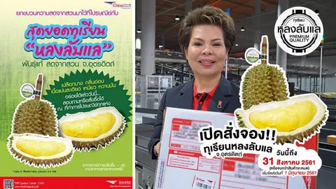 หลงลับแลทุเรียน GI ขายดีเหมือนแจกฟรี