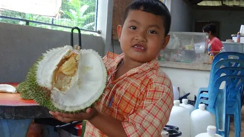 คอหวยเมืองคอน แห่ดูทุเรียนแฝด เจ้าของเชื่อให้โชคลาภมากกว่าอร่อย (คลิป)
