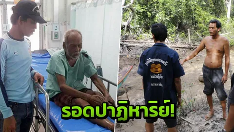 สาวชุดไทยชวนปู่วัย 88 เข้าป่า 2 วัน ญาติเชื่องูจงอางสีทองช่วยให้ปลอดภัย