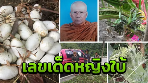 เลขเด็ดหญิงใบ้ แหล่งรวมหวยดังจากทั่วประเทศ