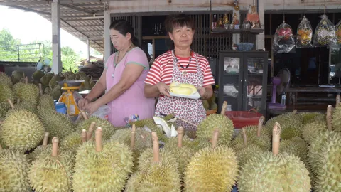 'เคยหายยกเข่ง' แม่ค้าทุเรียนควักเงินติดกล้อง โผล่อีก ฉกหมอนทองดิบ 8 ลูก!