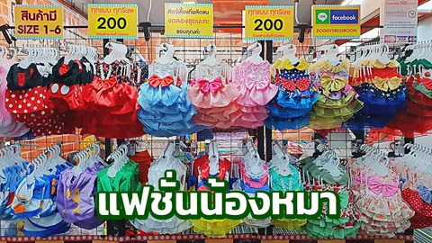 แฟชั่นเสื้อผ้าน้องหมา แมว ที่เหล่าทาสต้องไม่พลาด