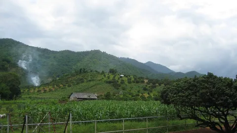 เชียงใหม่แผ่นดินไหว 3.6 ชาวไชยปราการรับรู้แรงสั่นสะเทือน