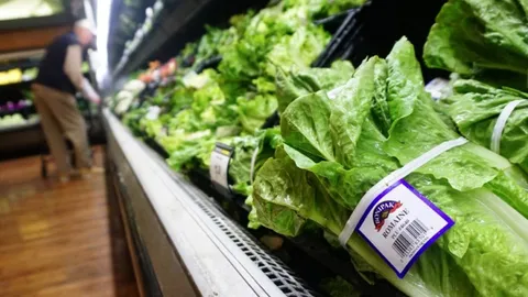 ผวา เชื้ออีโคไล ในผักกาดโรเมน ระบาดหนักในสหรัฐฯ ตายแล้ว 5