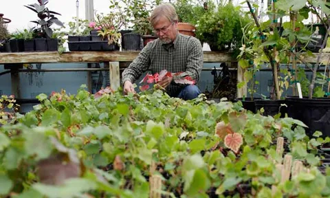 โลกาภิวัตน์ 27/11/53