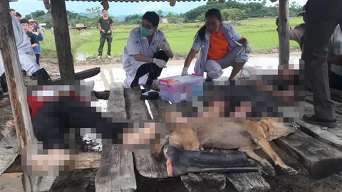 สลดใจ! ฟ้าผ่ากระท่อมกลางทุ่งนาที่เชียงราย ตายคาที่ 2 ศพกับสุนัขอีก 1