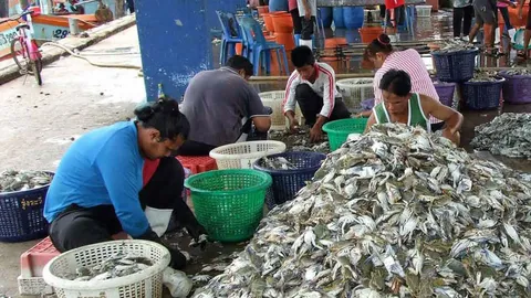 ตีกลับแผนพัฒนาสะพานปลากรุงเทพ