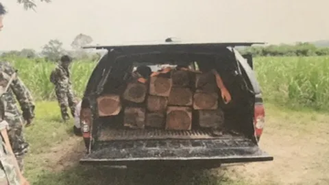 รวบแก๊งมอดไม้! ลักลอบขนไม้ชิงชัน เตรียมส่งประเทศเพื่อนบ้าน