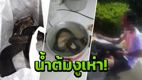 อุทาหรณ์! หนุ่ม รปภ.ถูกหามส่งโรงพยาบาล หลังซดน้ำต้ม 'งูเห่า'