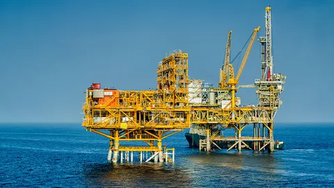 โครงการปิโตรเลียมกับเอ็นจีโอ