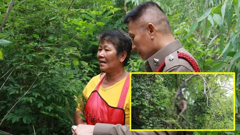 เซลส์หนุ่ม น้อยใจแม่!! หายออกจากบ้าน 4 วัน พบอีกทีเป็นศพผูกคอตาย